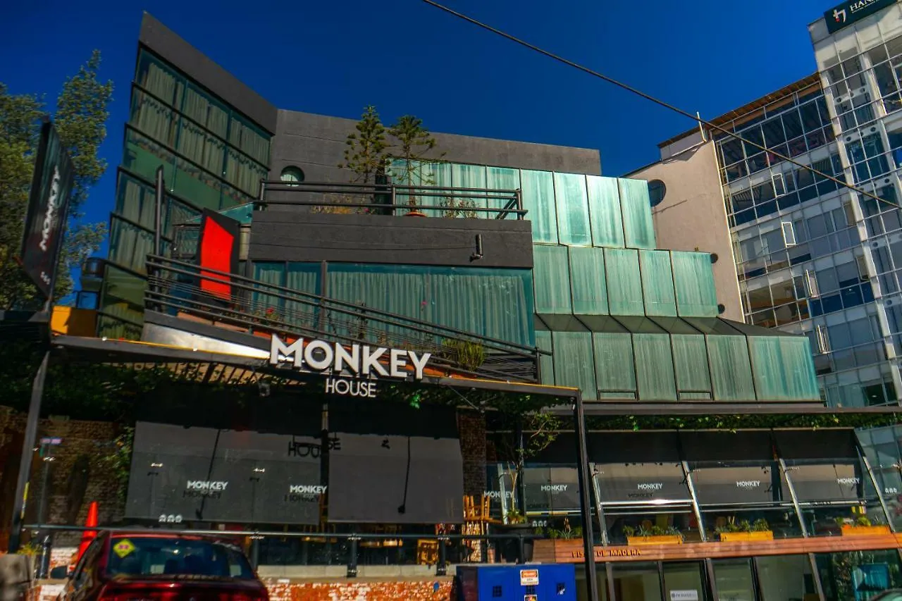 ホステル Monkey House Suites キト